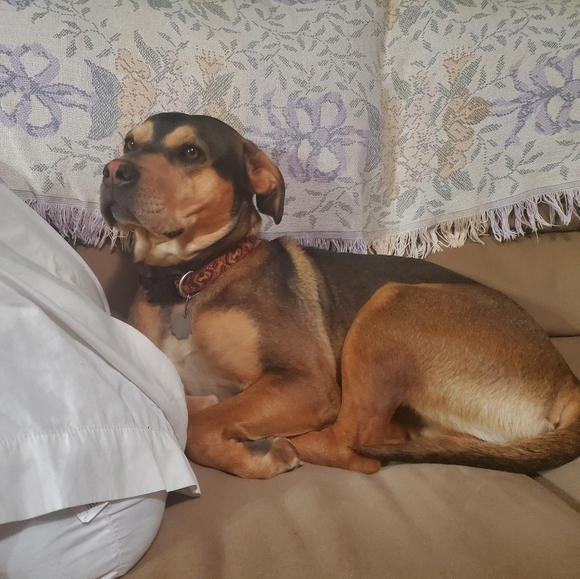 Meet your Posher - Picture 2 of 3